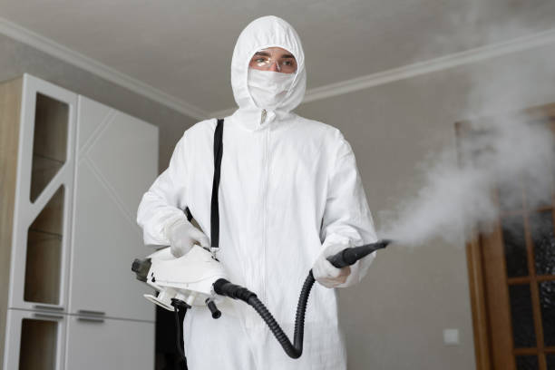 Reliable Valley Cottage, NY Mold Removal Solutions